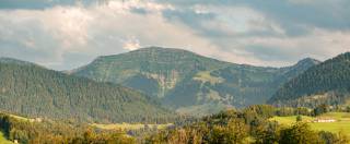 Blick auf den Hochgrat